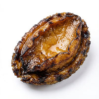 Premium Black Gold Abalone – Large Whole Abalone for Gourmet & Wellness Use