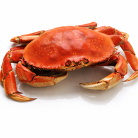 Whole Cooked Crab – Fresh, Meaty & Perfect for Home Dining