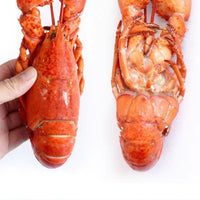 Whole Lobster – Fresh, Meaty & Perfect for Home or Retail