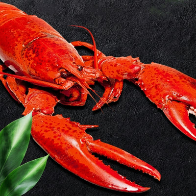 Whole Lobster – Fresh, Meaty & Perfect for Home or Retail